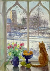 Snow Shadows and Cat